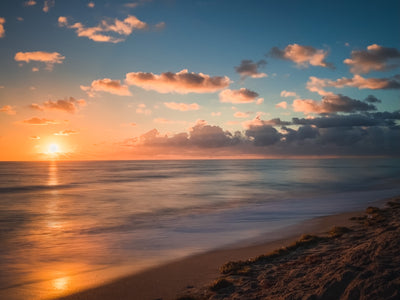 Florida Squeezed® Ranks the Top 10 Florida Beaches